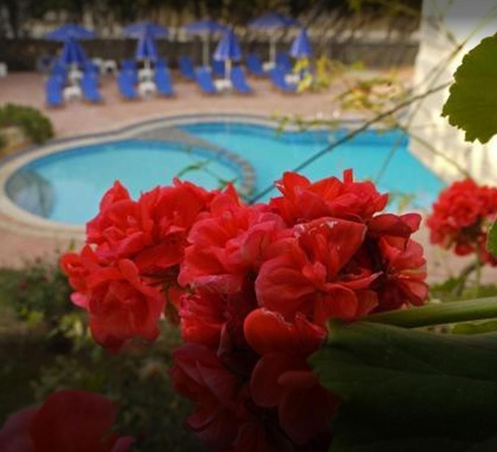 Lili Apartments,Oasis 2,5 Km From Hania Center Parigoria Dış mekan fotoğraf